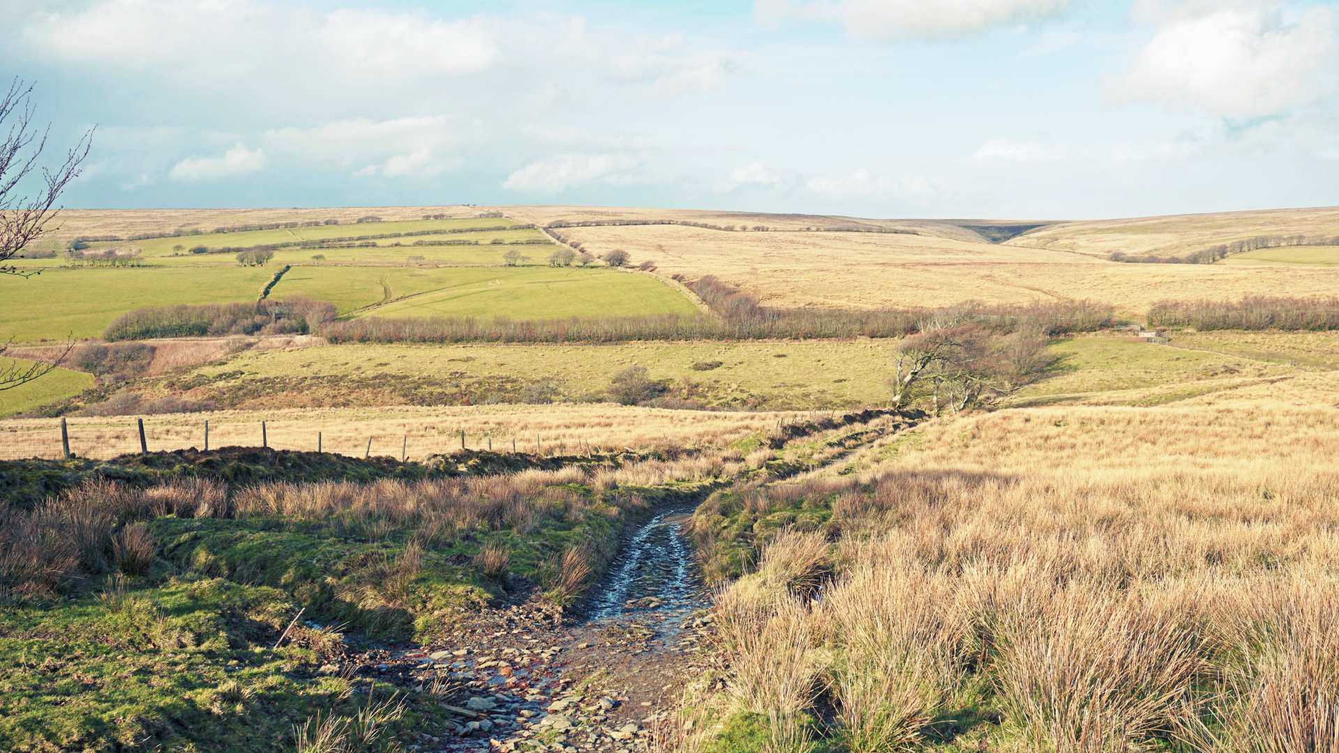 Tarka Trail